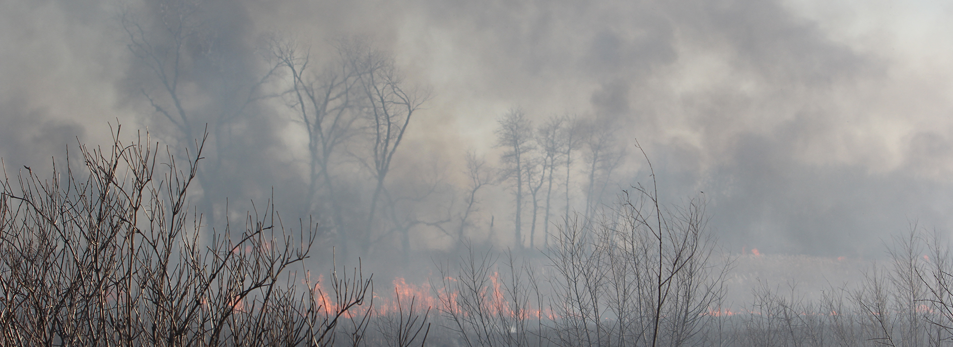 Drone Arrival at controlled burn at Illinois state park