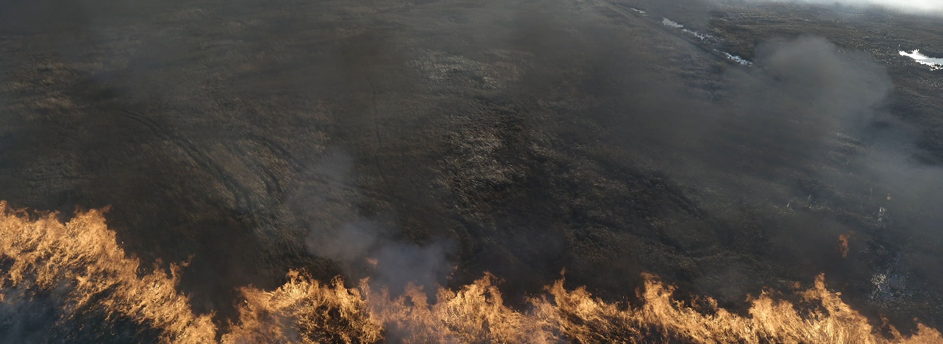 Drone Arrival at controlled burn at Illinois state park