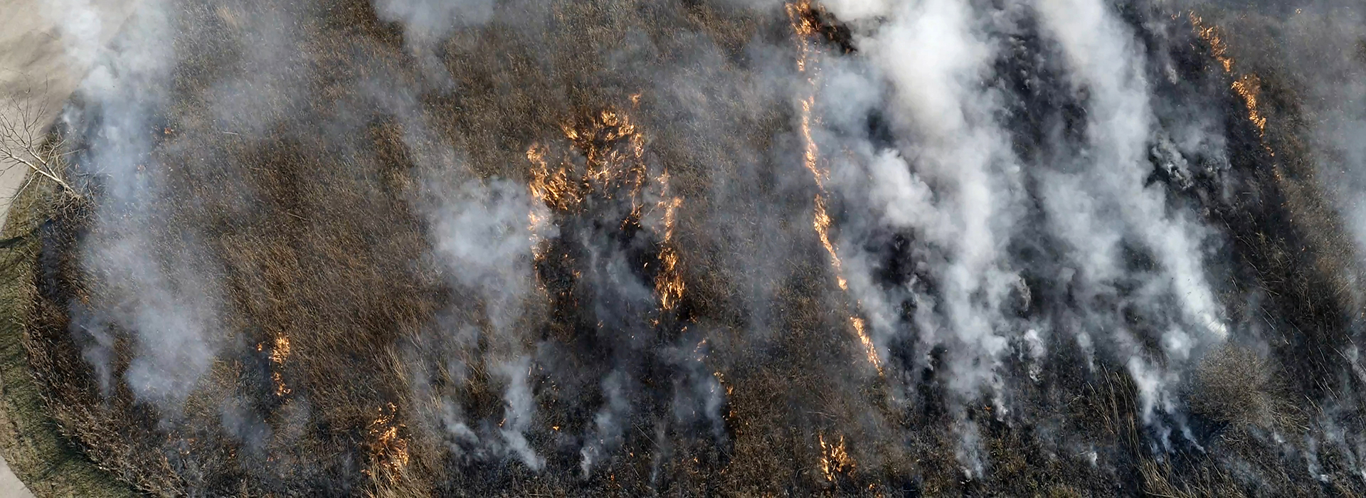 Drone Arrival at controlled burn at Illinois state park