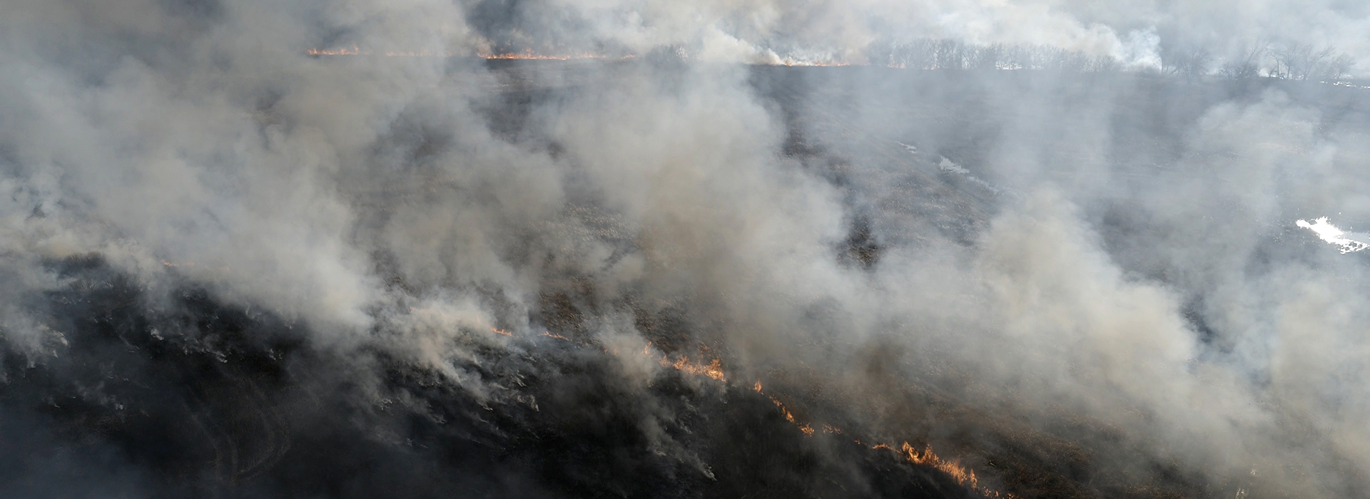 Drone Arrival at controlled burn at Illinois state park