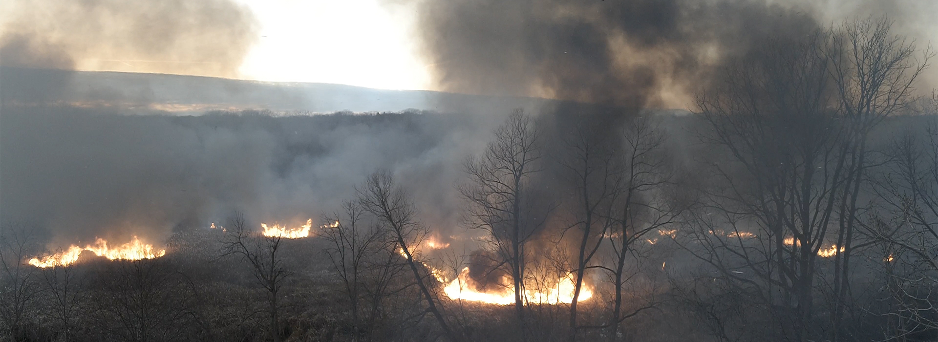 Drone Arrival at controlled fire at Illinois state park