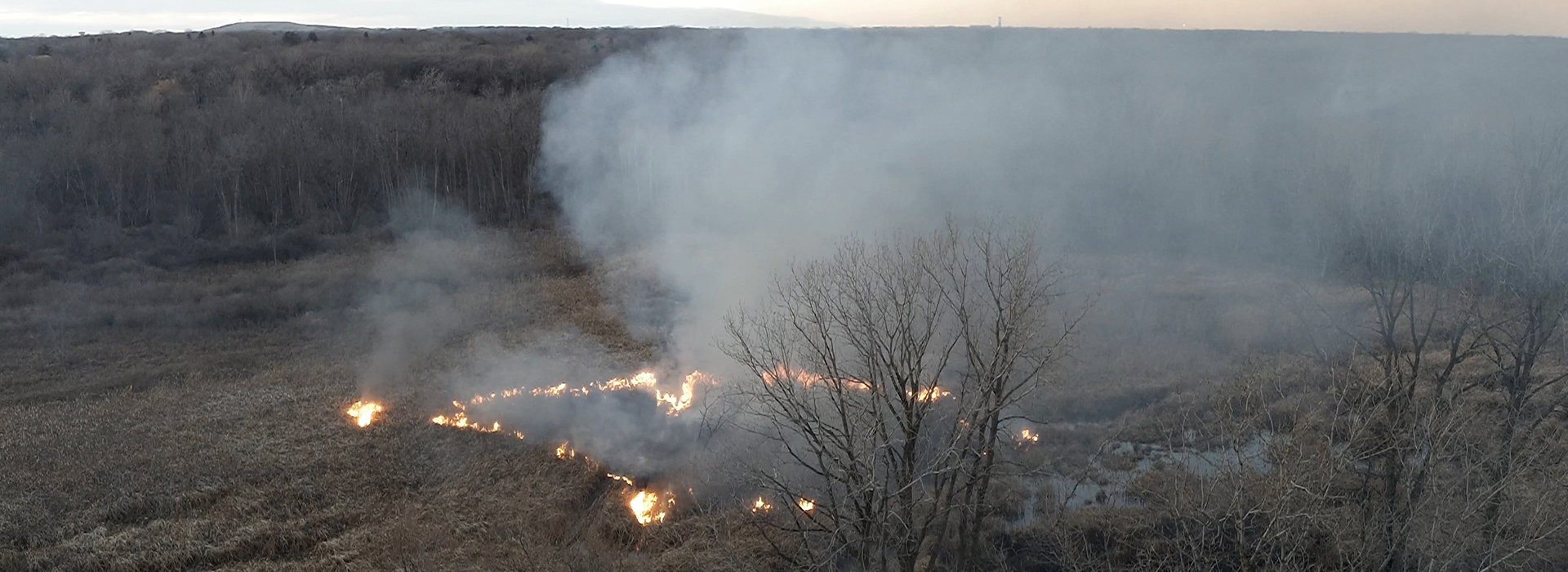 Drone Arrival at prescribed burn at Illinois state park