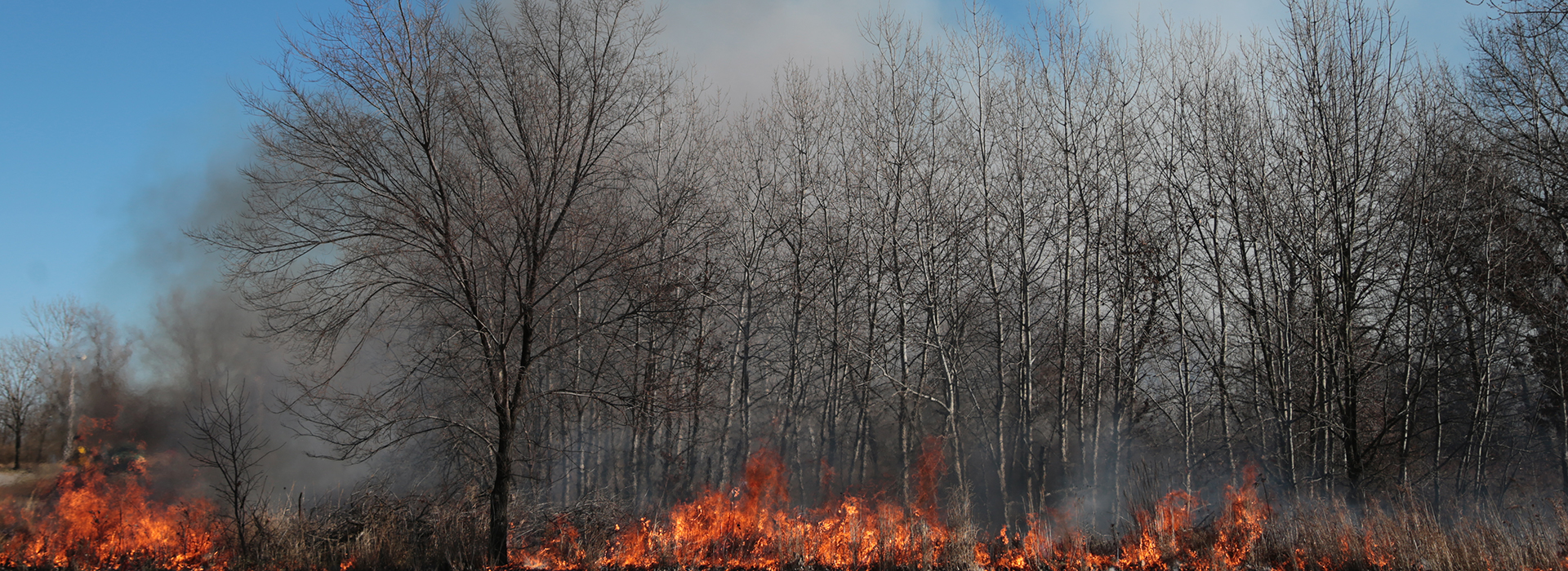 Drone Arrival at prescribed fire at Illinois state park